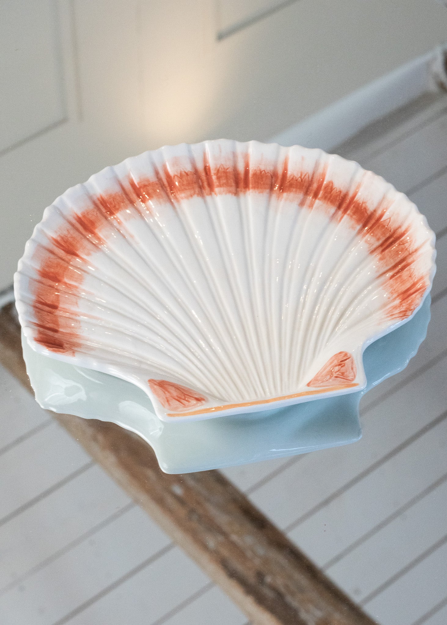 Plate Cockle