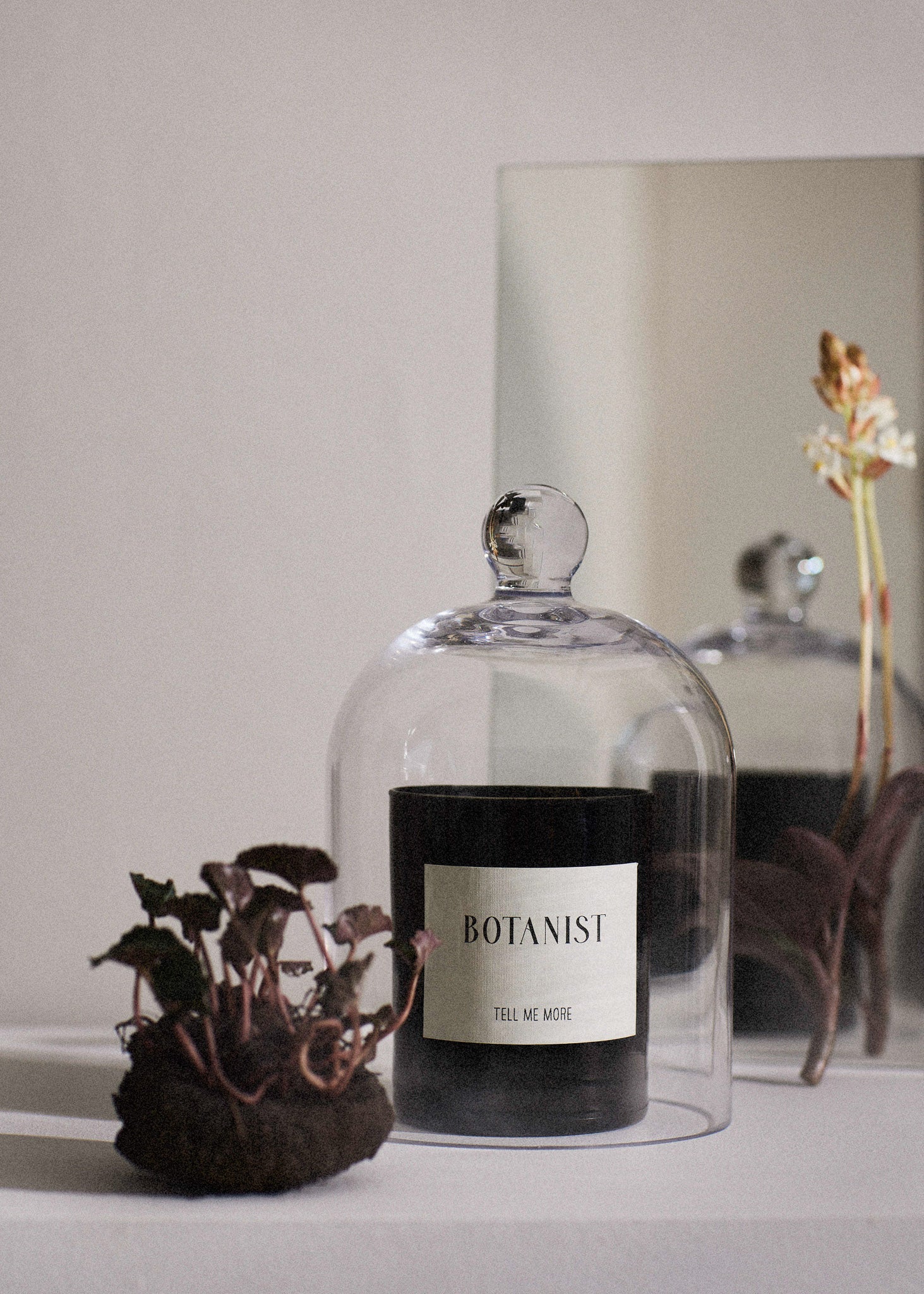 Doftljus Botanist