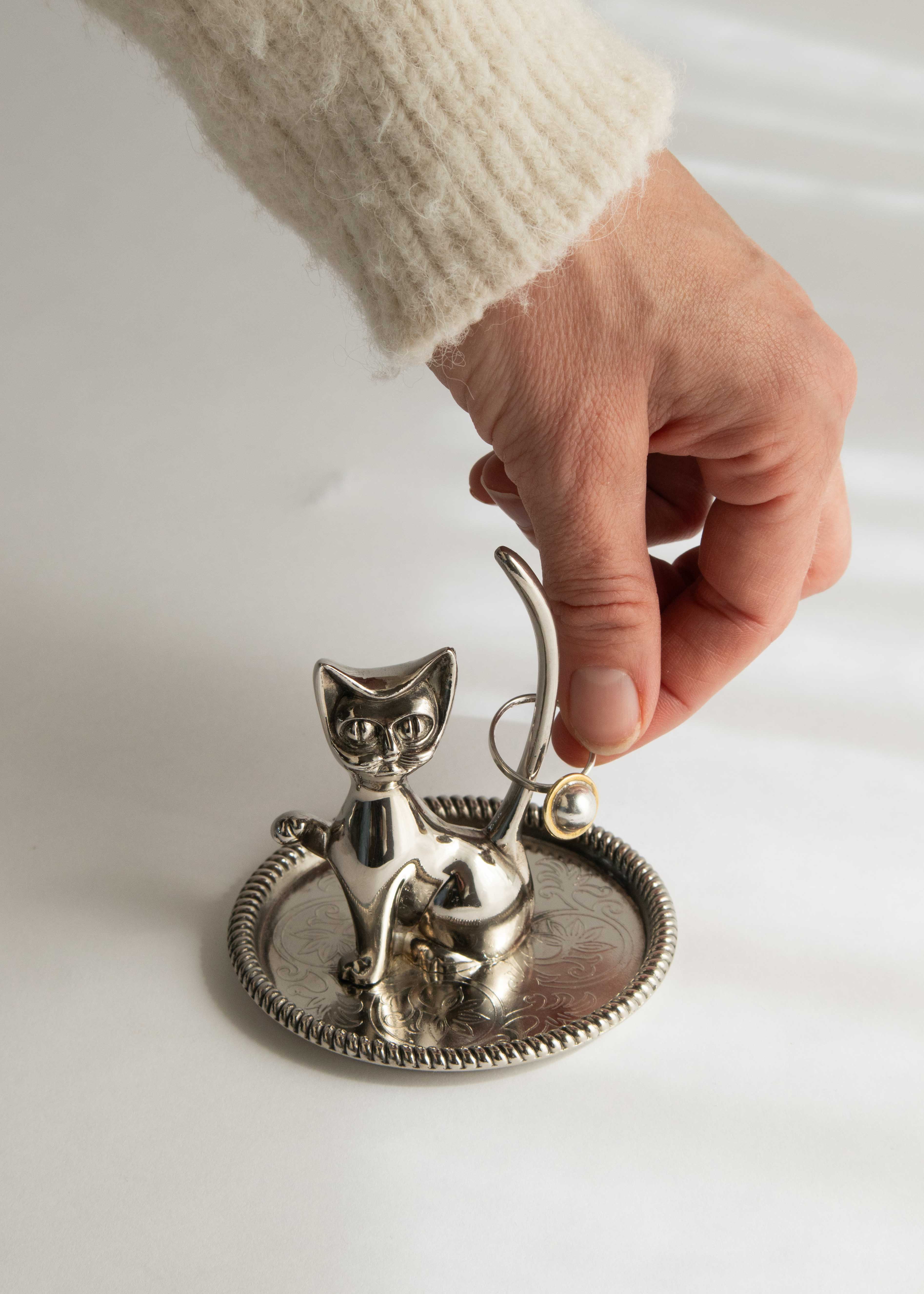 Ringkatt no1