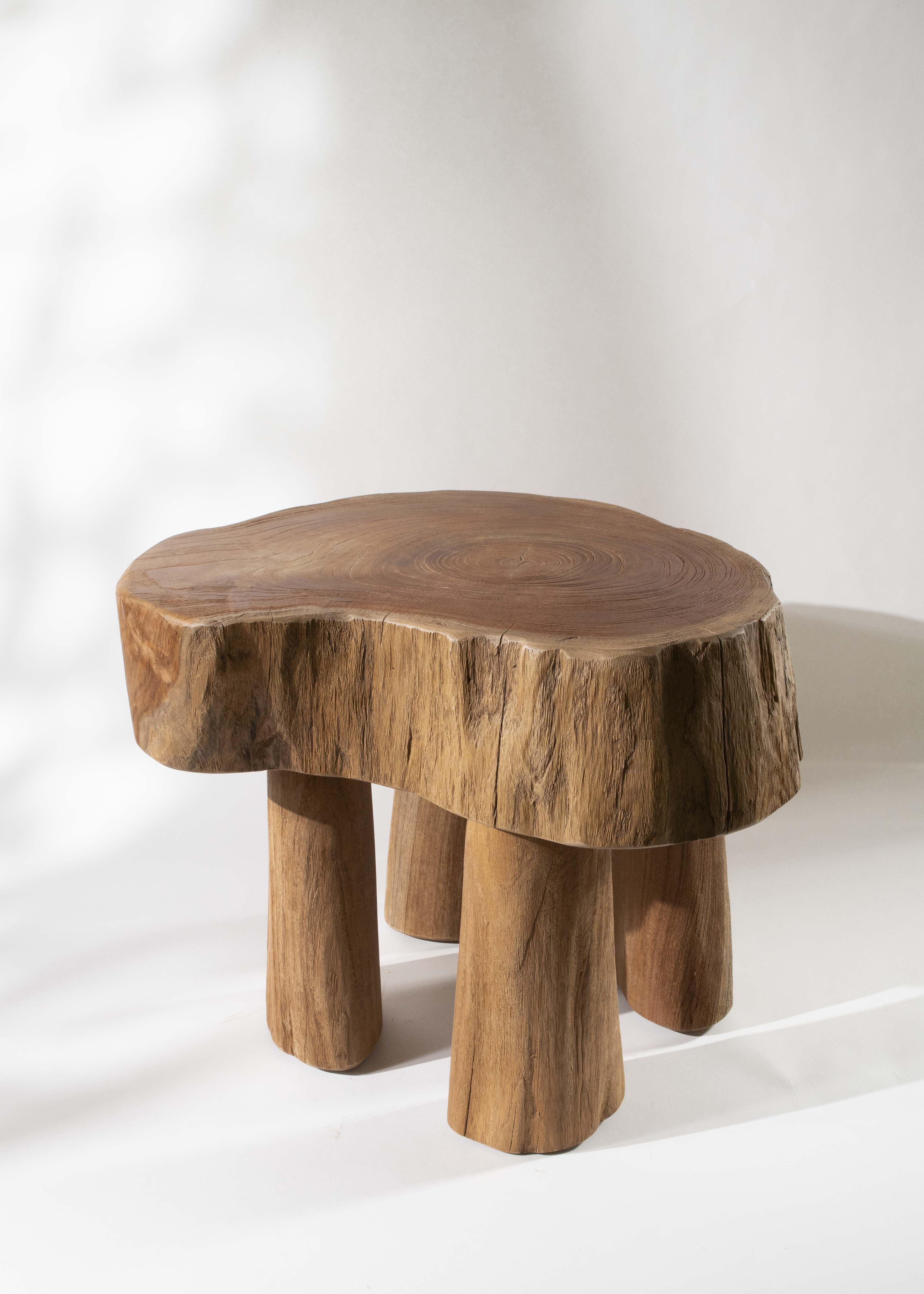 Log Wooden Table