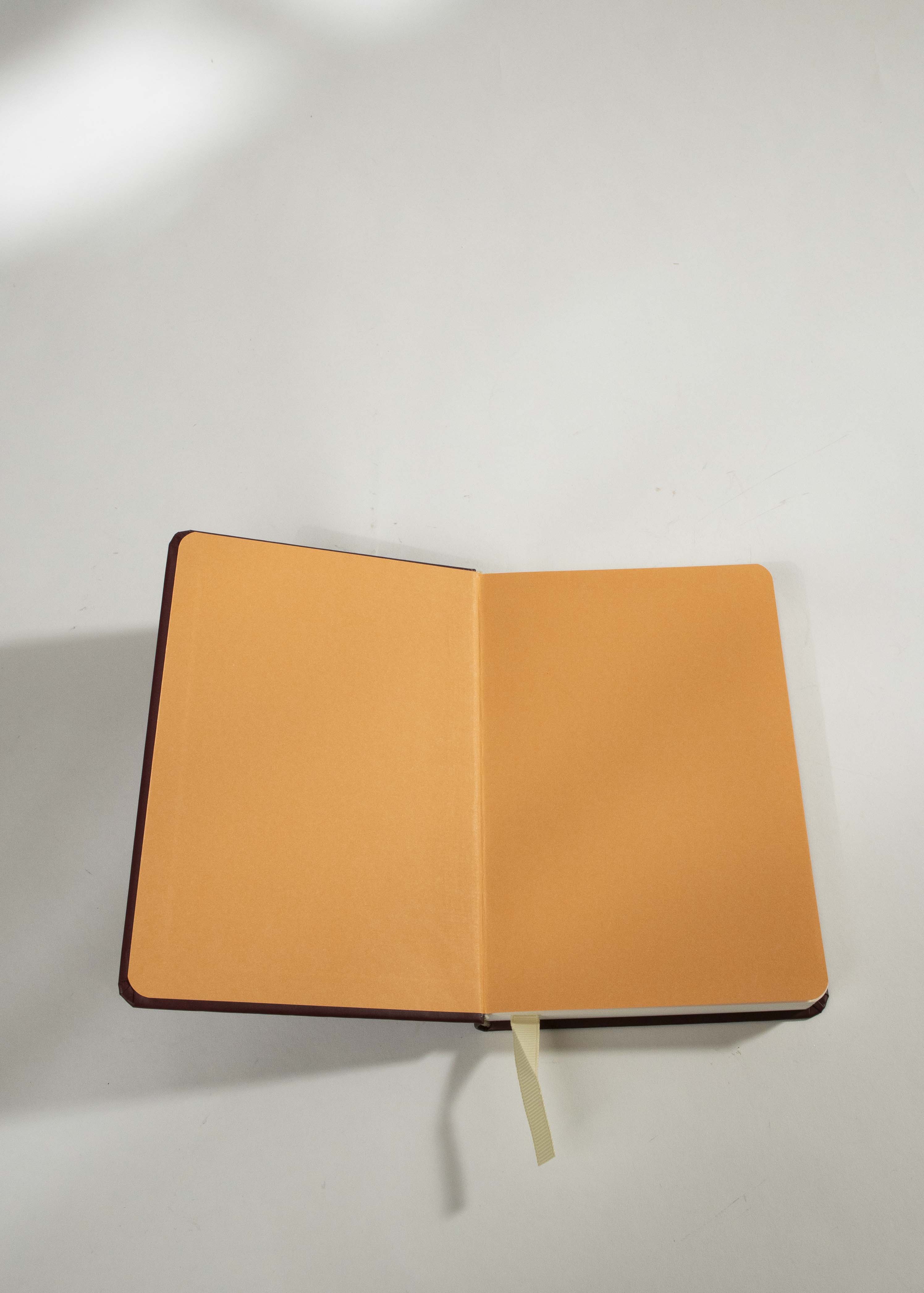 Password Journal