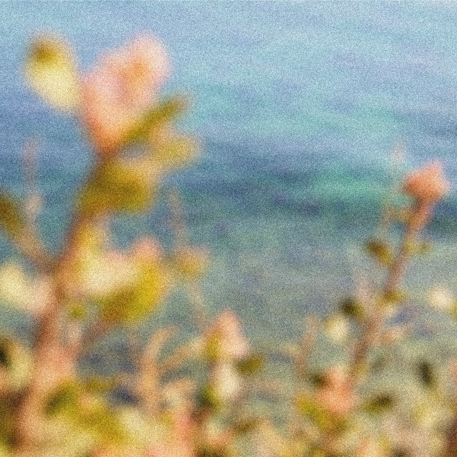 Handtvål Point Dume