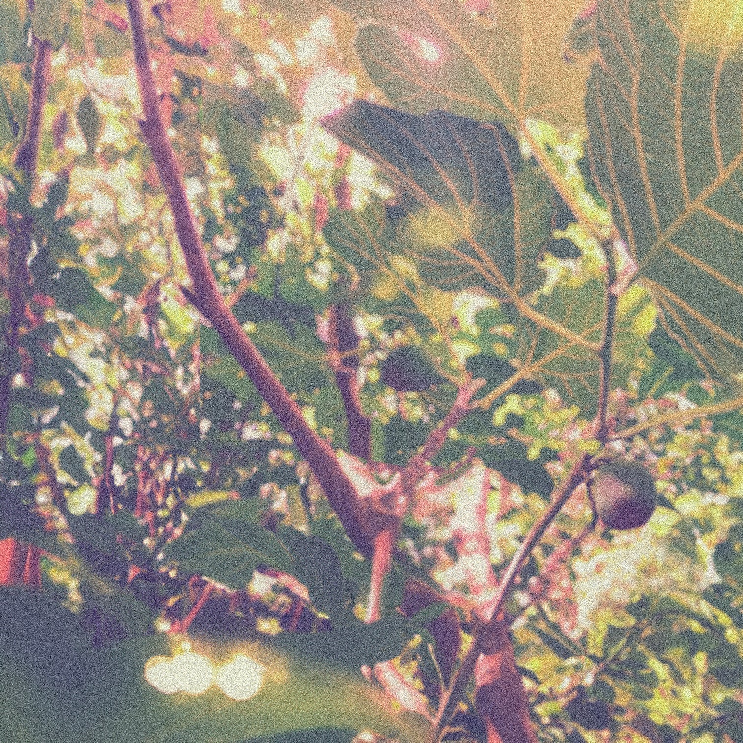 Doftljus Silver Lake