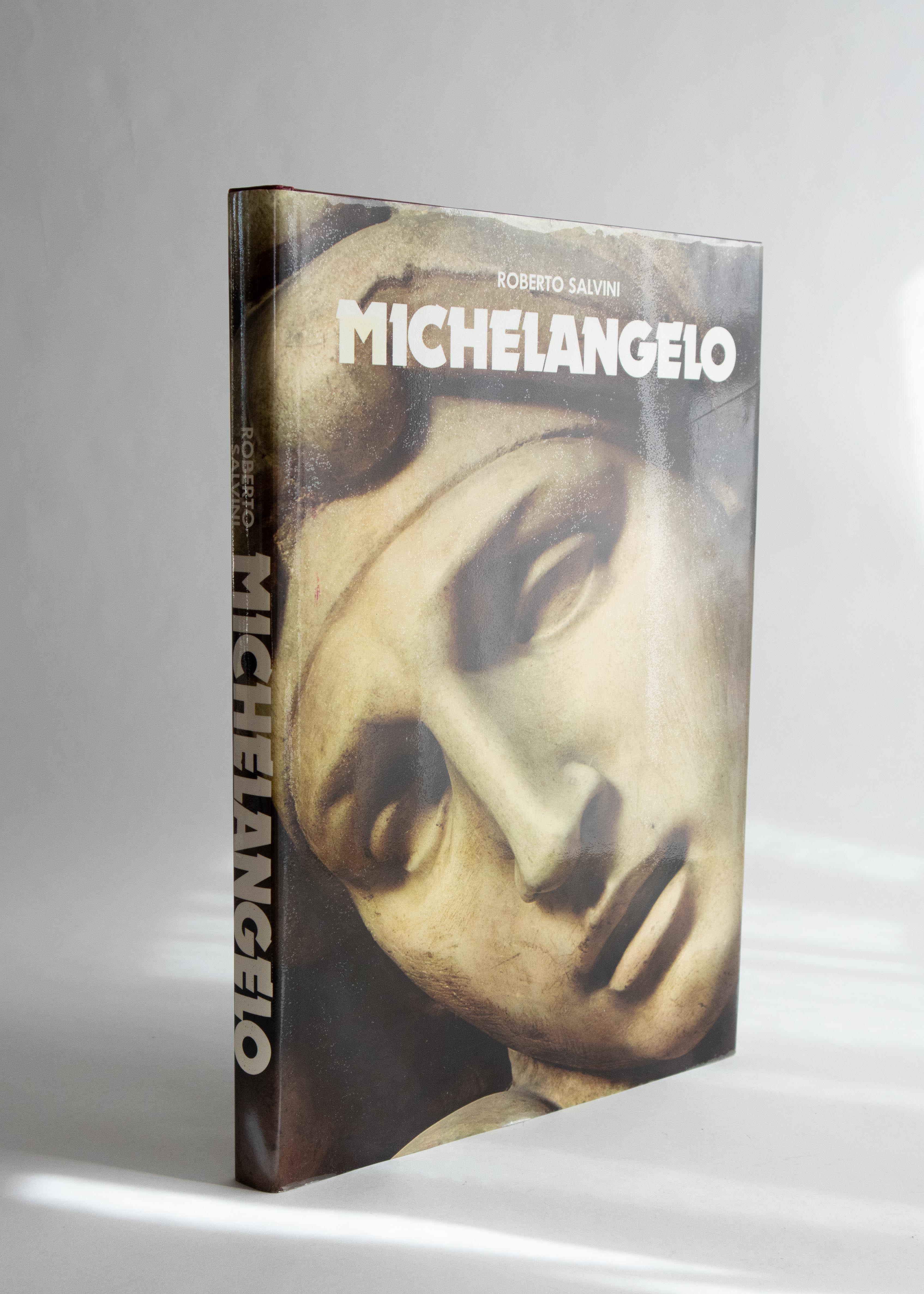 Michelangelo Konstbok