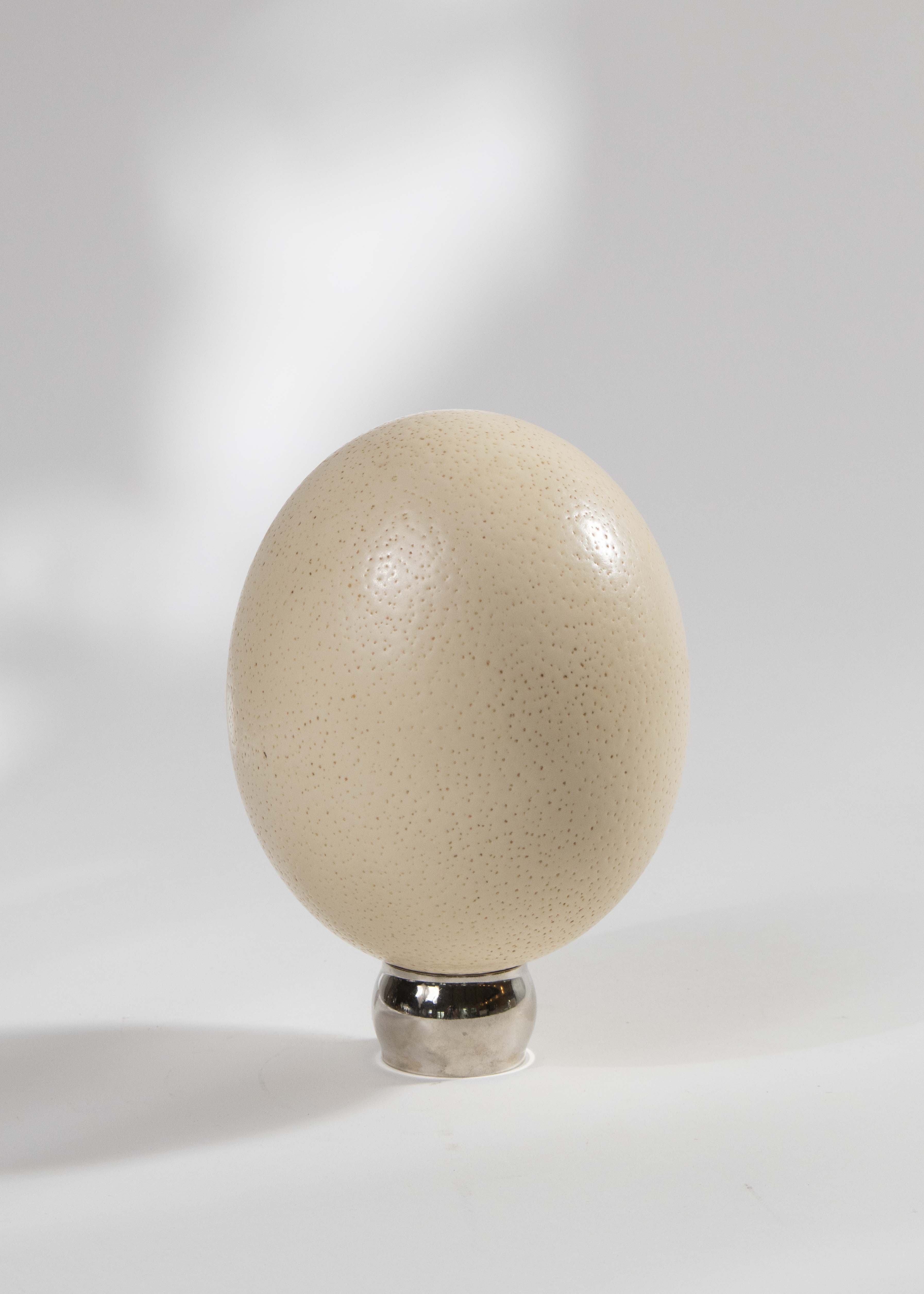 Strutsägg