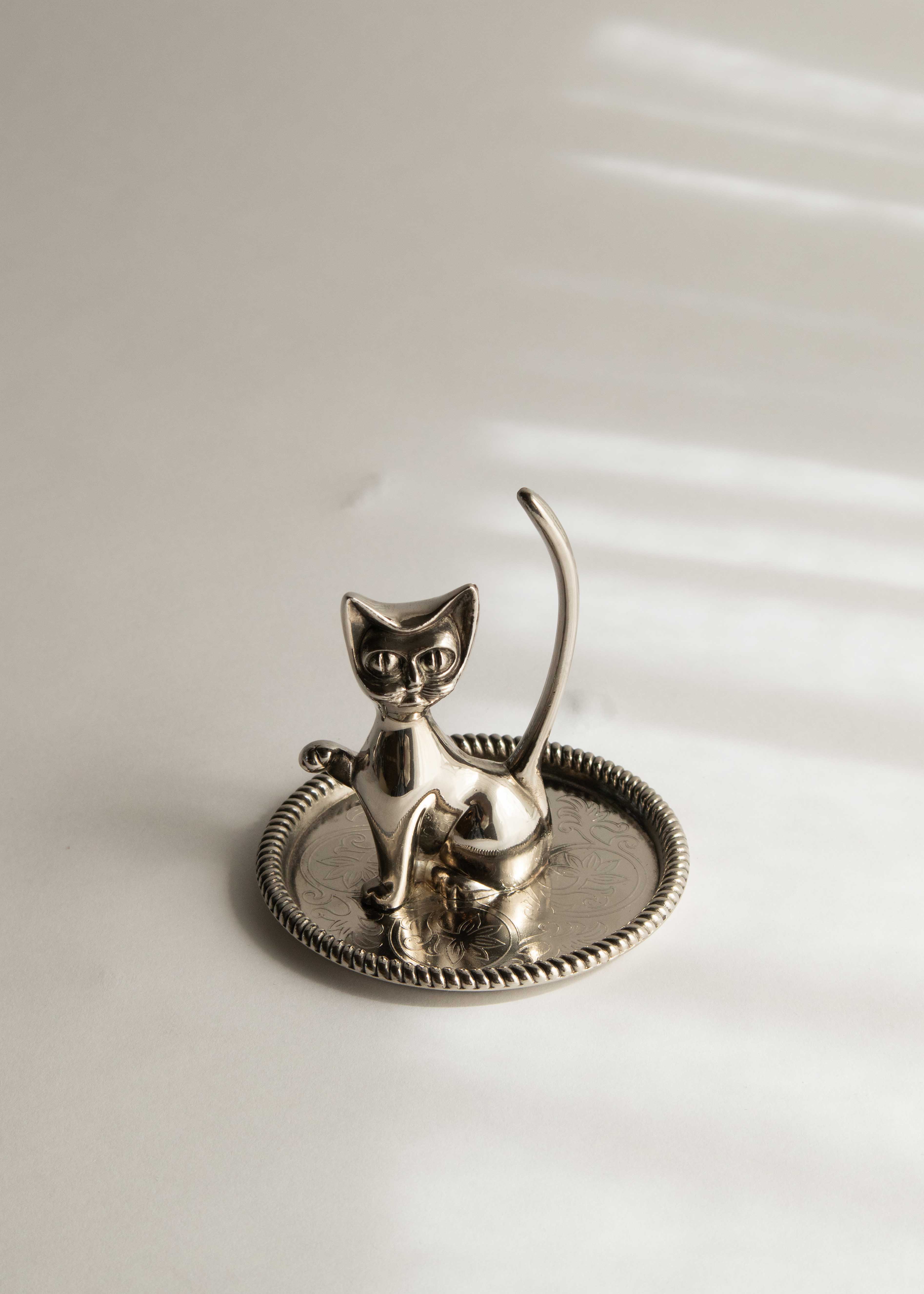 Ringkatt no1