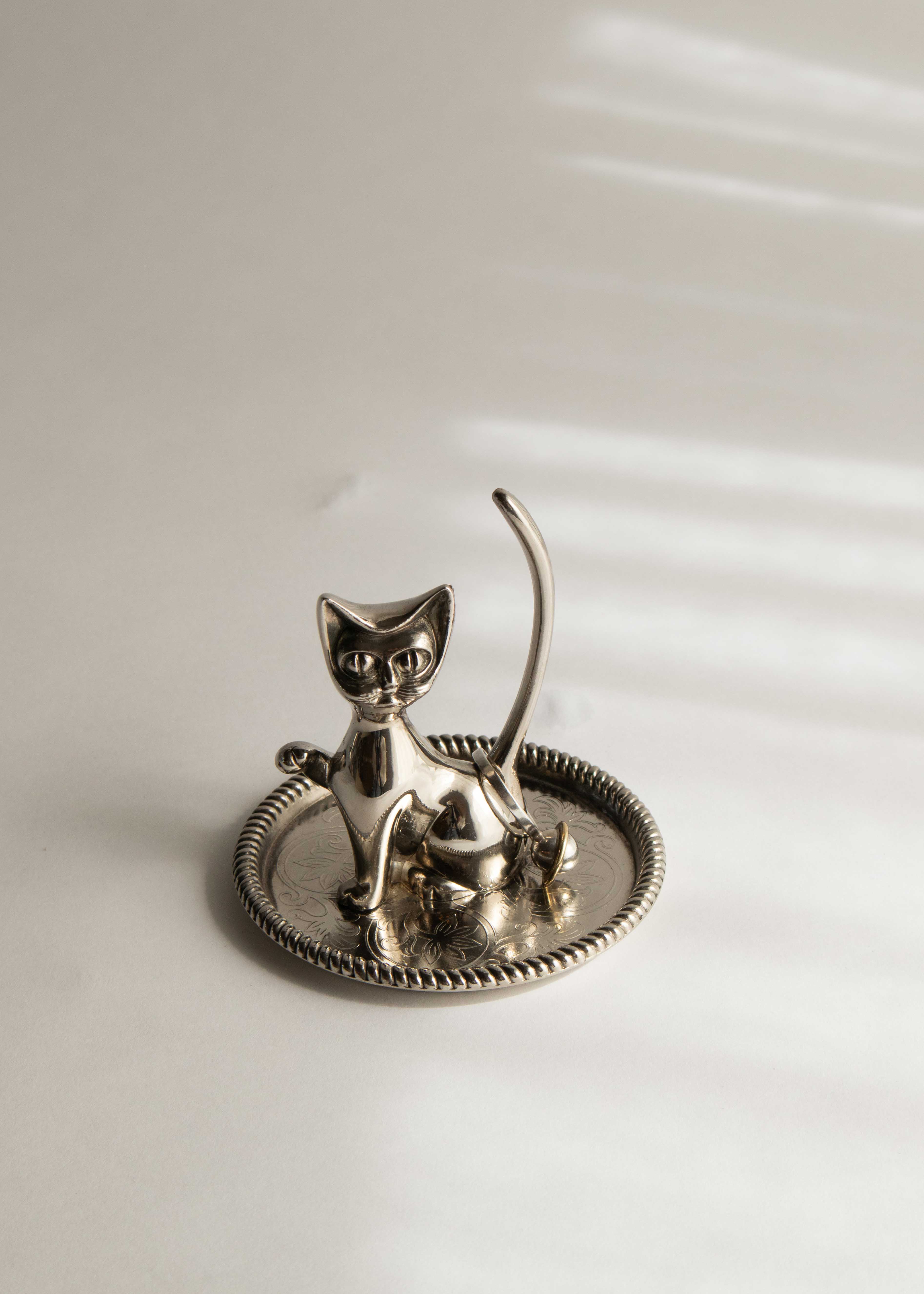 Ringkatt no1