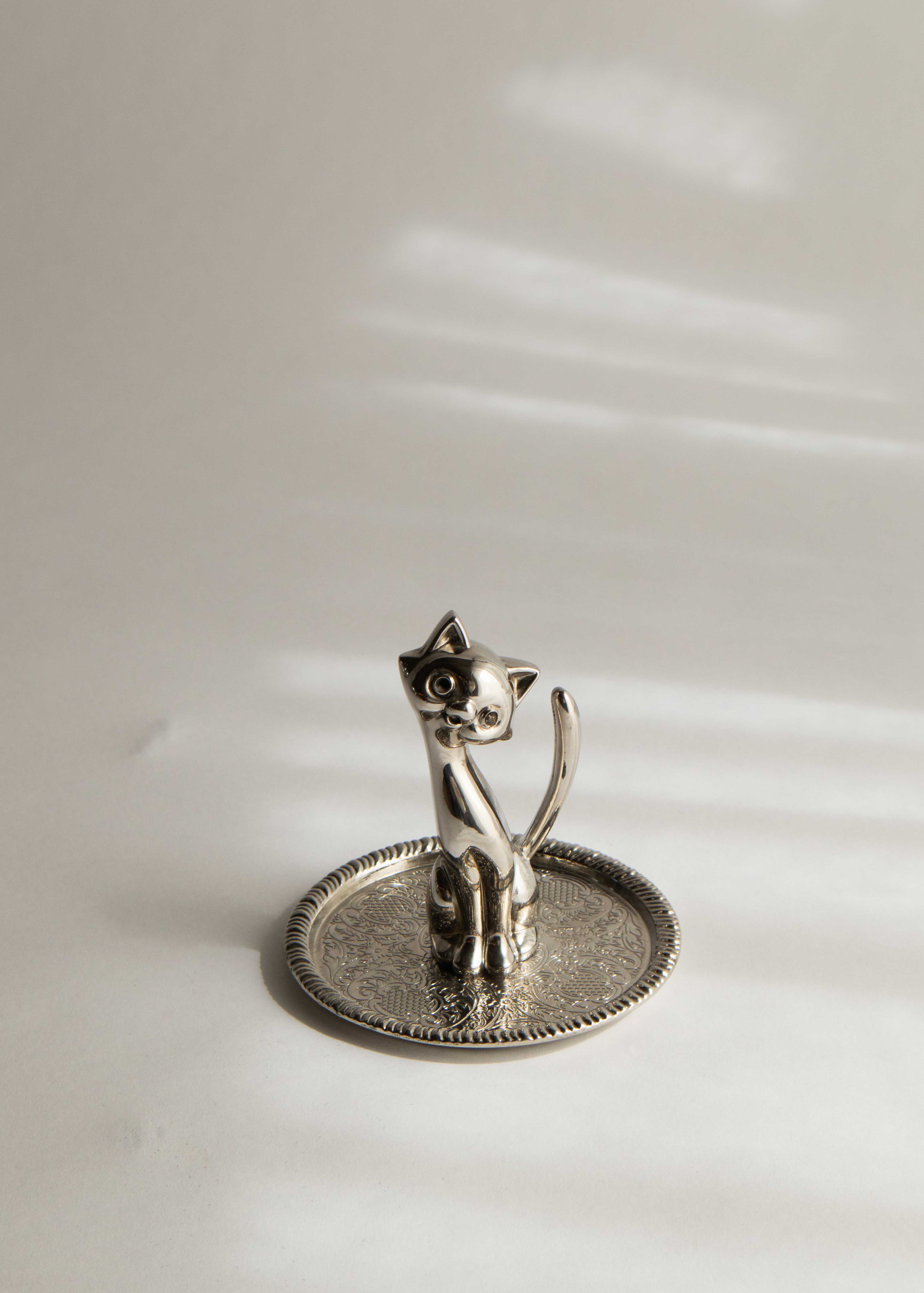 Ringkatt no02