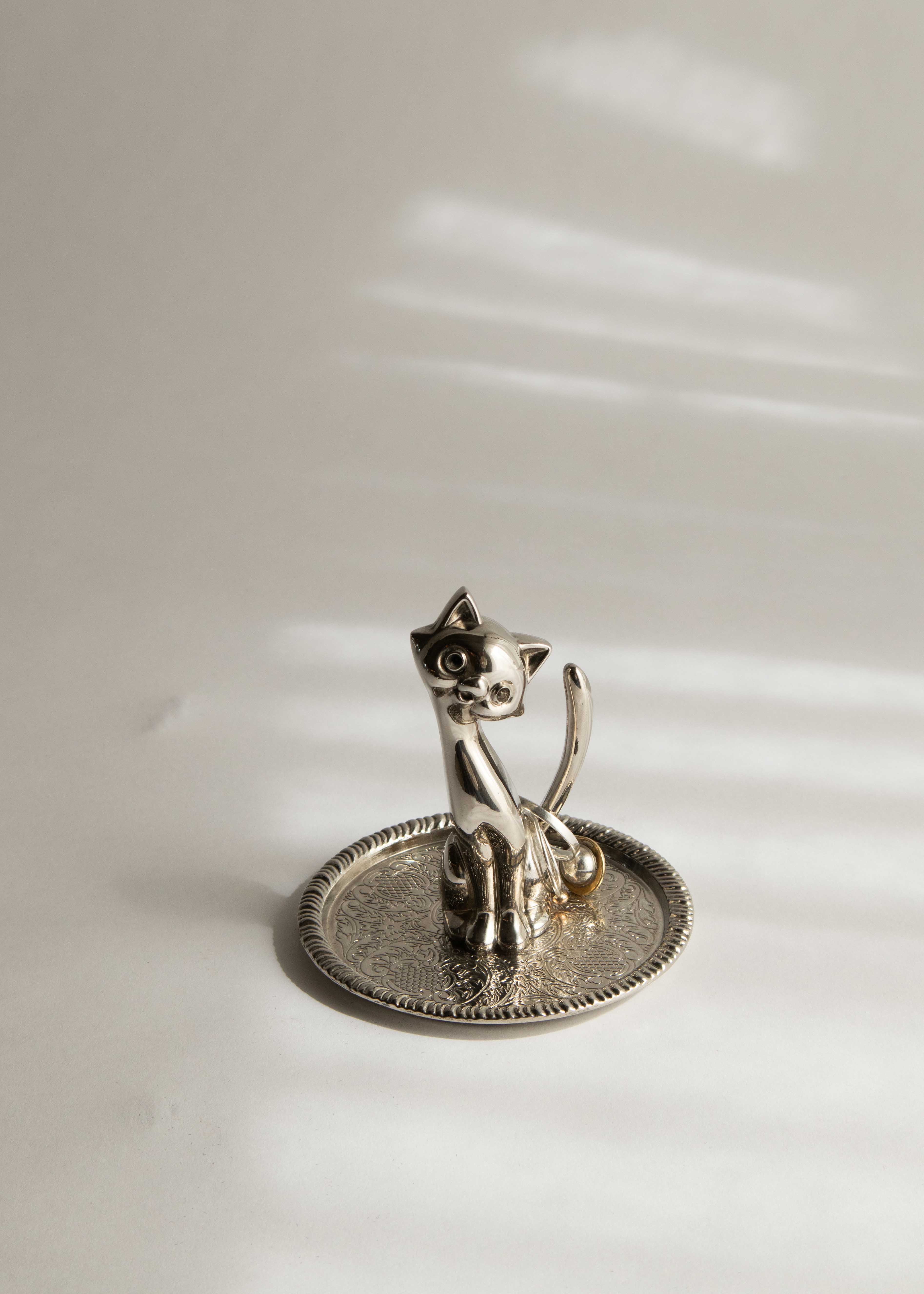 Ringkatt no02