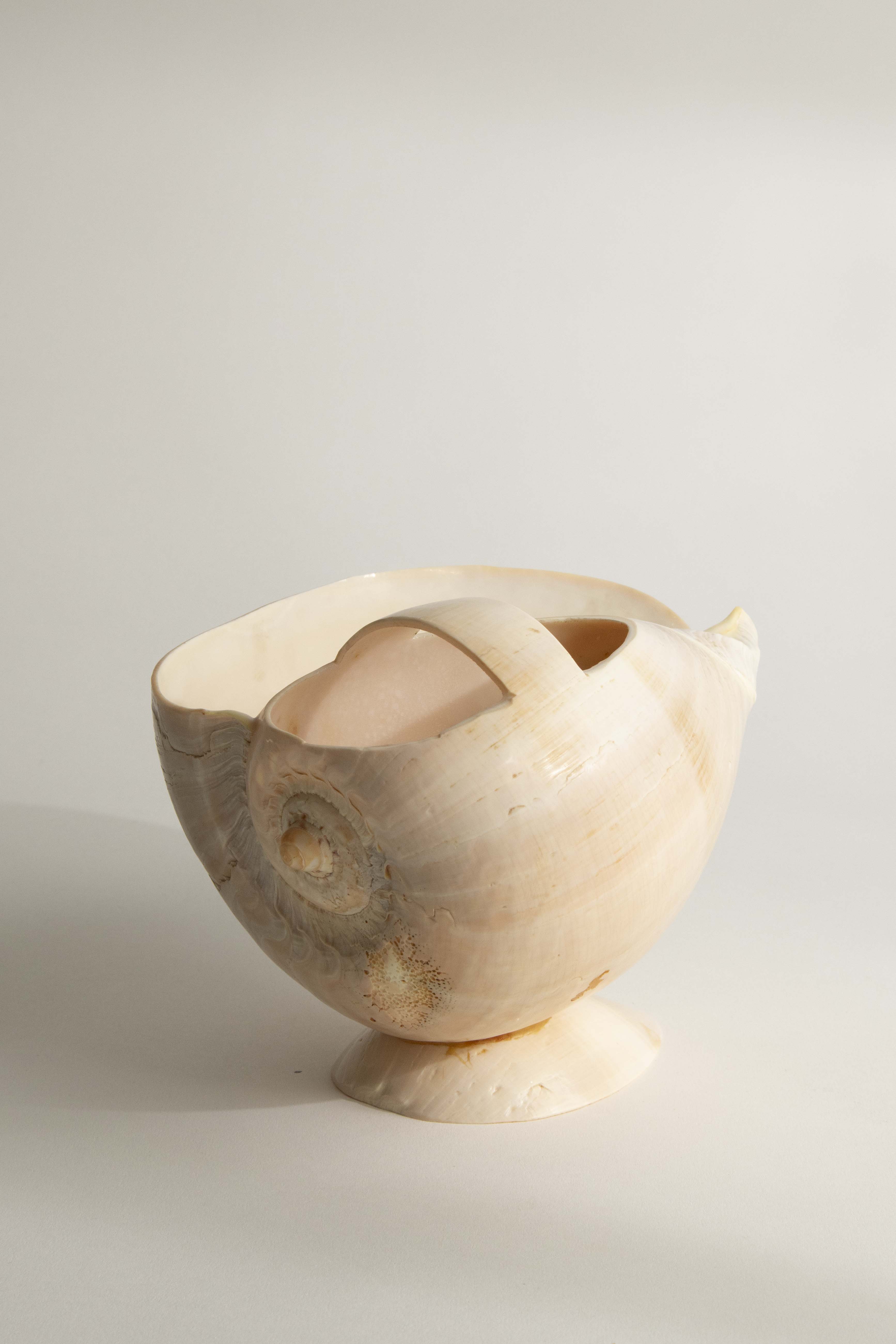Stor snäckskål