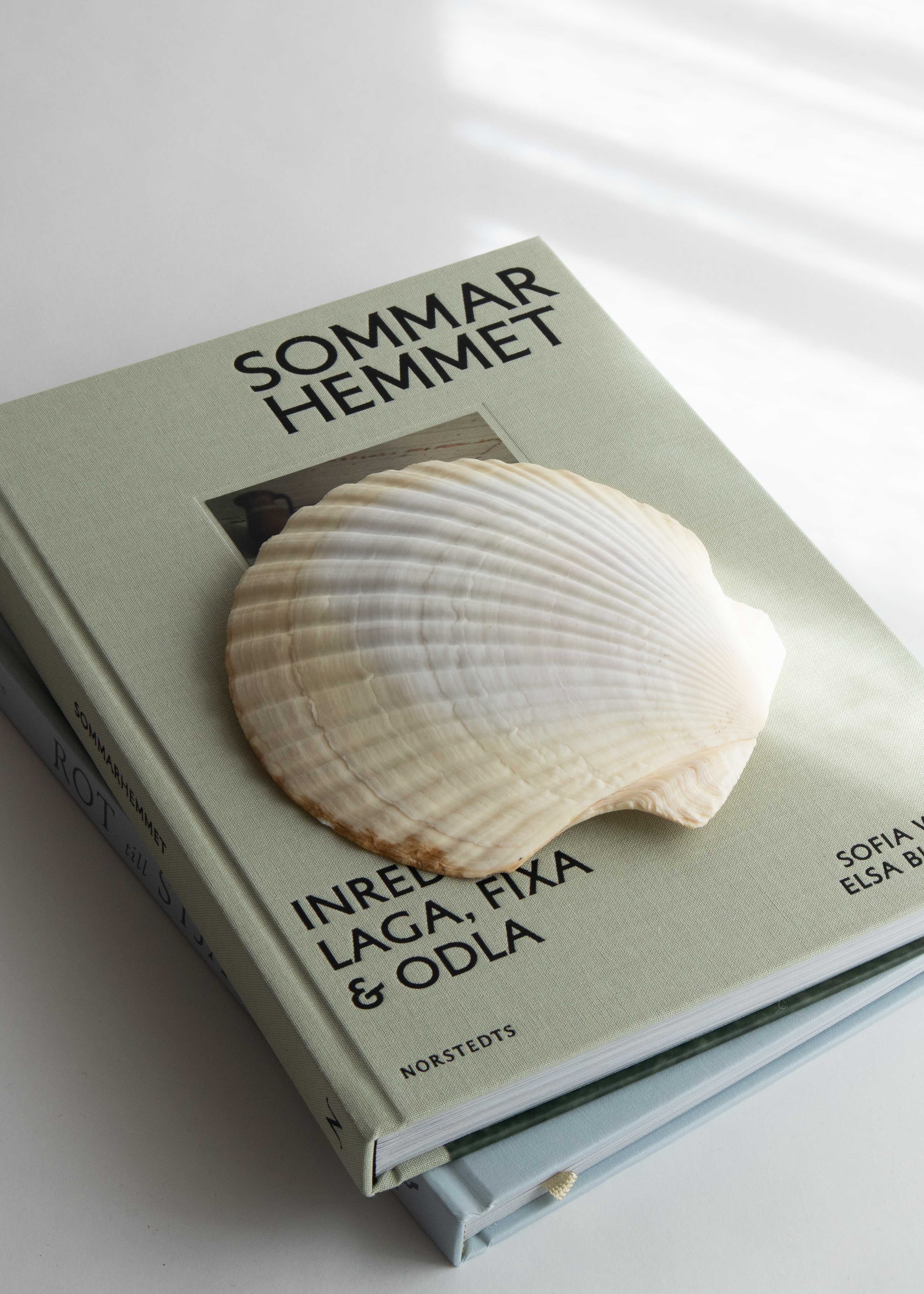 Stora Snäckskal
