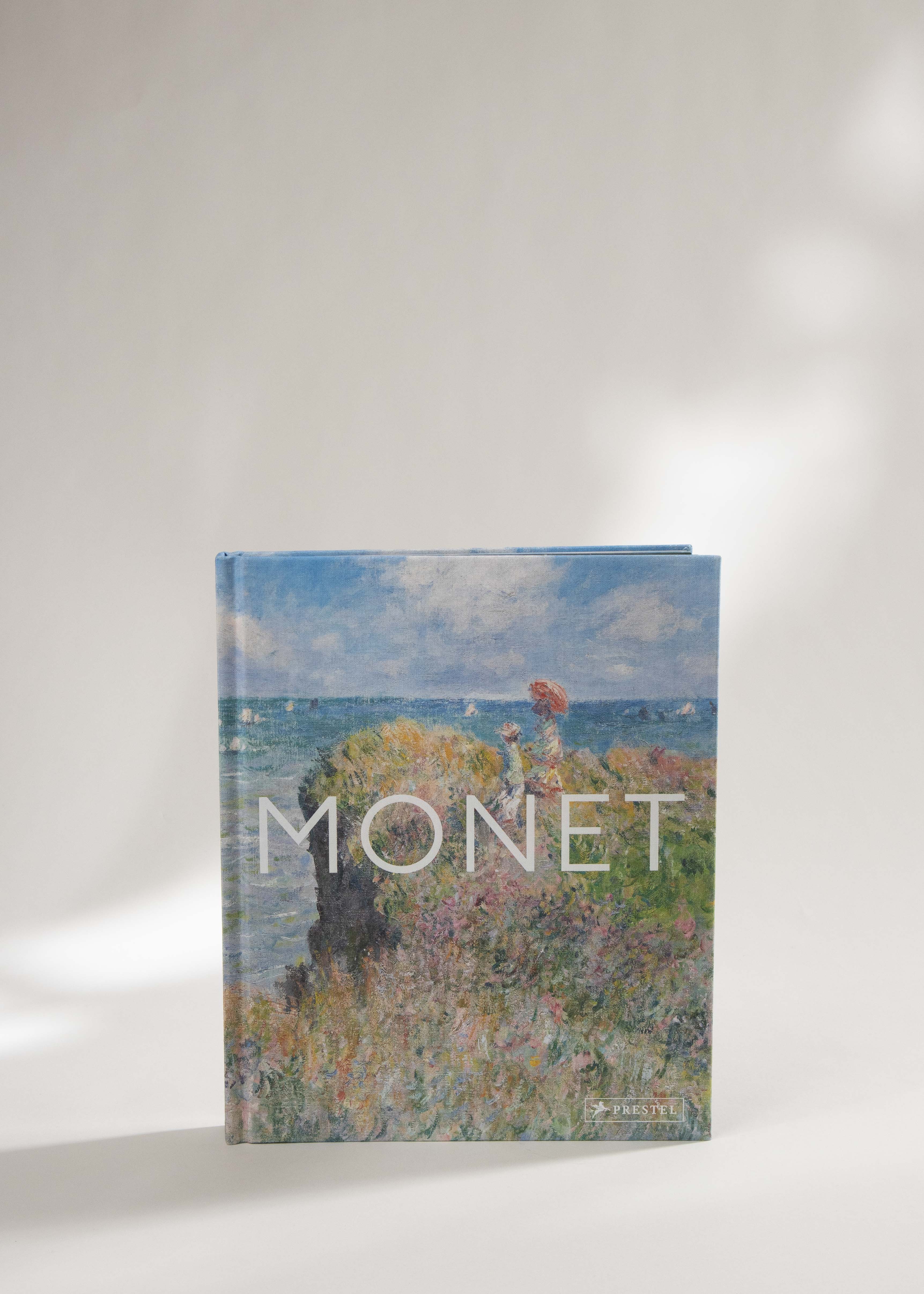 Monet - The Bigger Picture