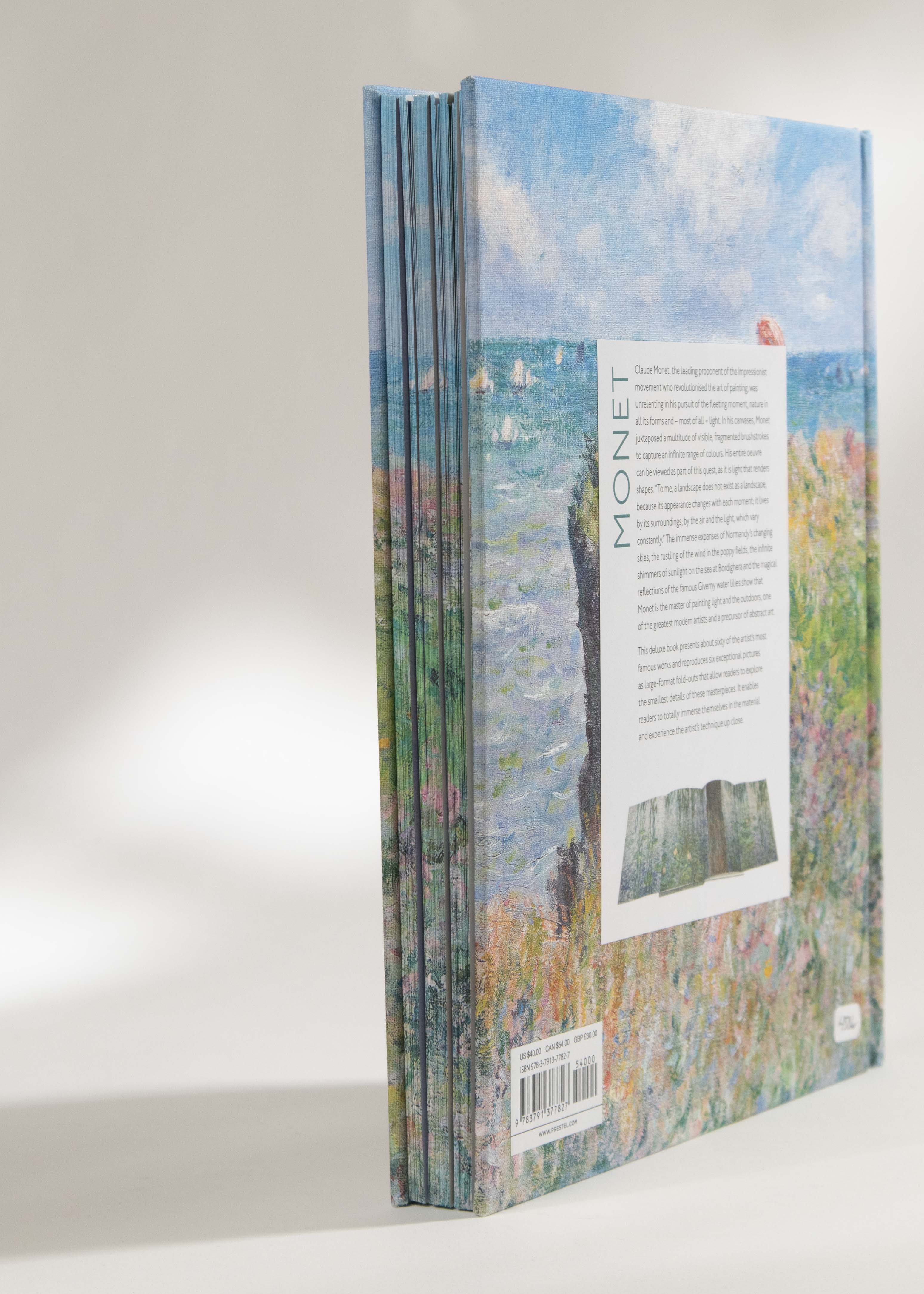 Monet - The Bigger Picture